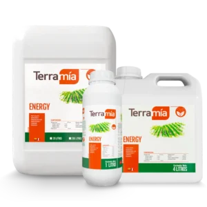 Terramía Energy