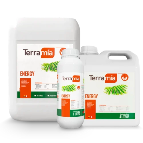 Terramía Energy