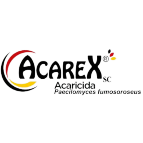 Acarex - Imagen 2