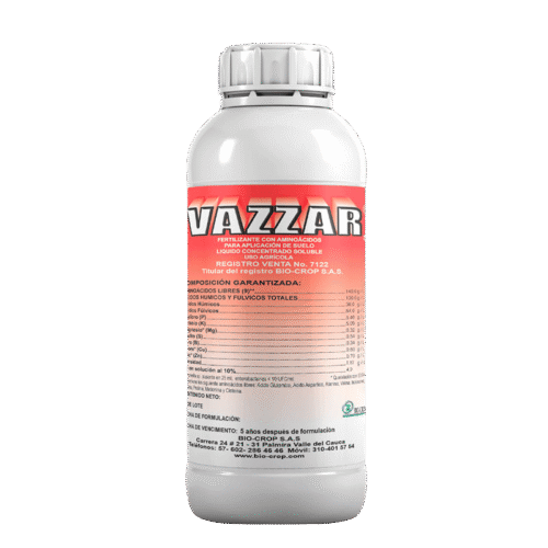 Vazzar