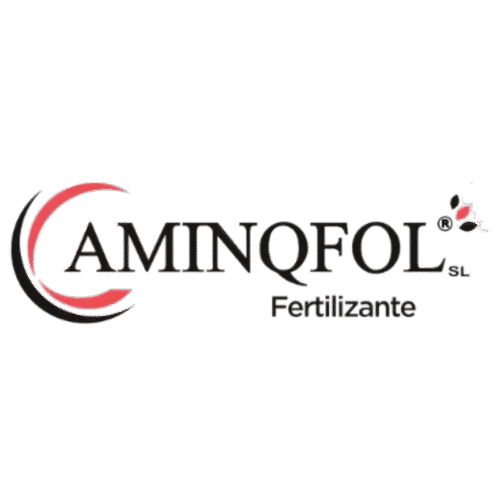 AminQfol - Imagen 2
