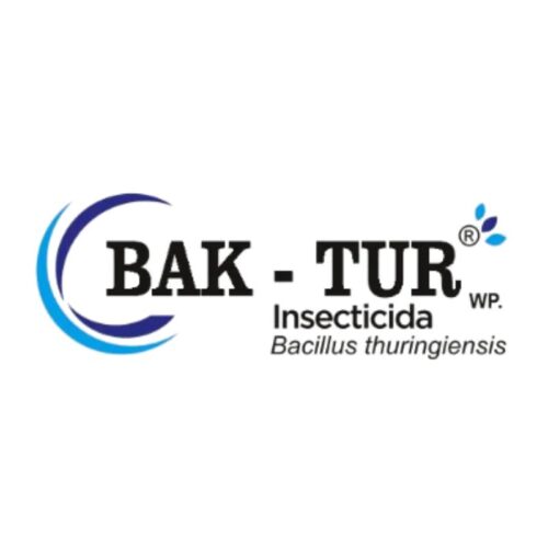BakTur - Imagen 2