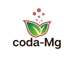 Coda Magnesio