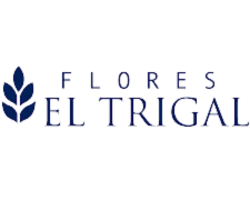 10-El trigal