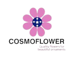 11-Cosmo_Flower