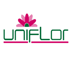 13-Uniflor