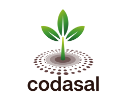 Codasal Logo