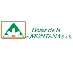 6-Flores_Montaña